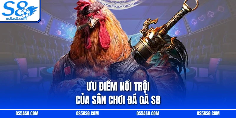 Ưu điểm nổi trội của sân chơi đá gà S8